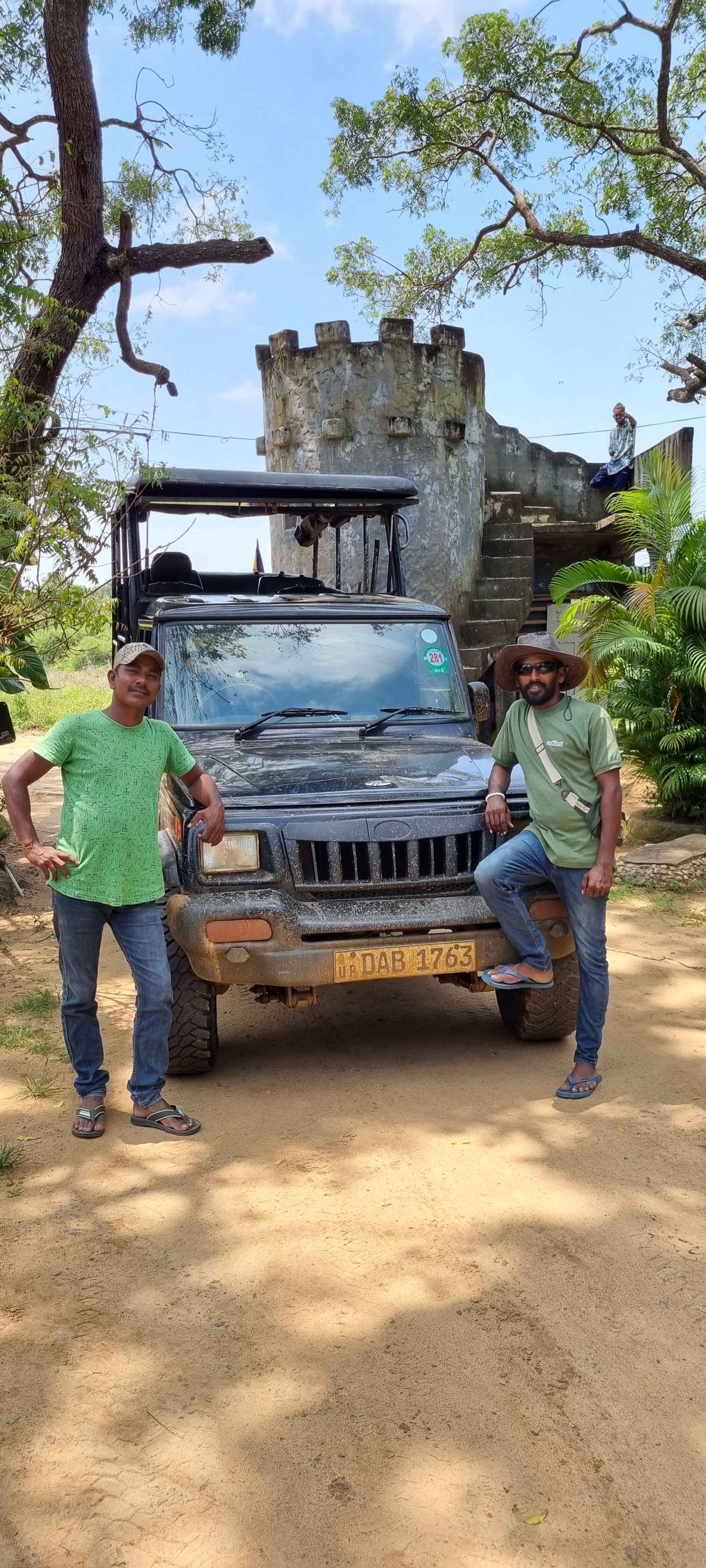 Wildlife Safaris