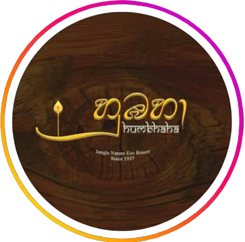 Humbhaha Jungle Logo